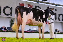 DSC02950-2 DSC02950-2