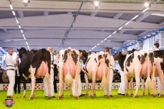 DSC02969-2 DSC02969-2