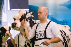 DSC02984-2 DSC02984-2