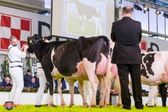 DSC02988-2 DSC02988-2