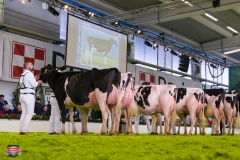 DSC02991-2 DSC02991-2