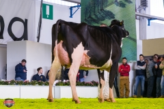 DSC02994-2 DSC02994-2