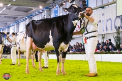 DSC02999-2 DSC02999-2