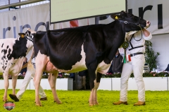 DSC03000-2 DSC03000-2