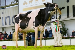 DSC03004-2 DSC03004-2