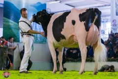 DSC03008-2 DSC03008-2