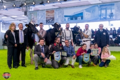 DSC03047-2 DSC03047-2