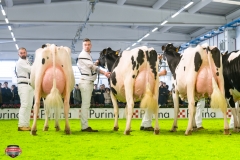 DSC03070-2 DSC03070-2