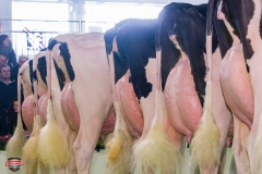 DSC03074-2 DSC03074-2