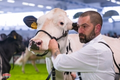 DSC03077-2 DSC03077-2