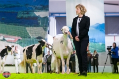 DSC03079-2 DSC03079-2