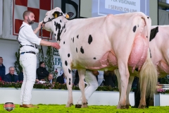 DSC03085-2 DSC03085-2