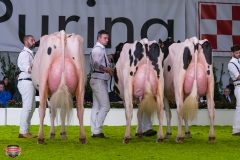 DSC03090-2 DSC03090-2