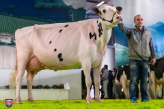 DSC03092-2 DSC03092-2