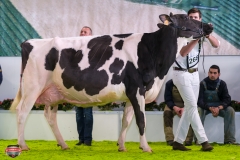 DSC03101-2 DSC03101-2