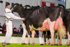 DSC03120-2 DSC03120-2