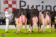 DSC03123-2 DSC03123-2