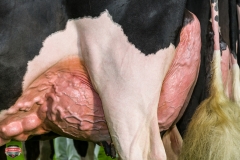 DSC03124-2 DSC03124-2