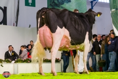 DSC03137-2 DSC03137-2