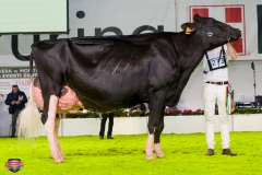 DSC03139-2 DSC03139-2