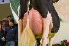 DSC03142-2 DSC03142-2