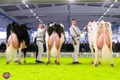 DSC03145-2 DSC03145-2