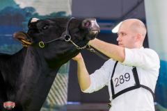 DSC03153-2 DSC03153-2