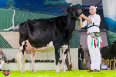 DSC03155-2 DSC03155-2