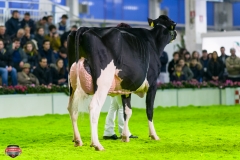 DSC03186-2 DSC03186-2