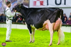 DSC03188-2 DSC03188-2