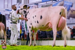 DSC03191-2 DSC03191-2