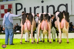 DSC03228-2 DSC03228-2