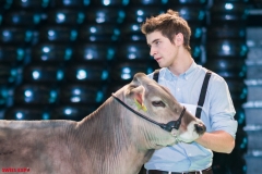 DSC01305-2 DSC01305-2