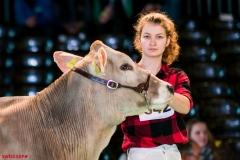 DSC01320-2 DSC01320-2