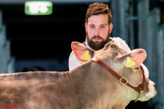 DSC01321-2 DSC01321-2