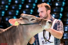 DSC01325-2 DSC01325-2