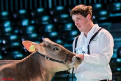 DSC01331-2 DSC01331-2