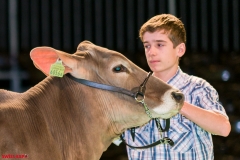 DSC08384-2-2 DSC08384-2-2