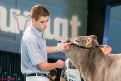 DSC08384-2 DSC08384-2