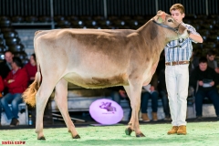 DSC08385-2 DSC08385-2