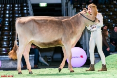 DSC08386-2 DSC08386-2