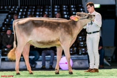 DSC08388-2 DSC08388-2