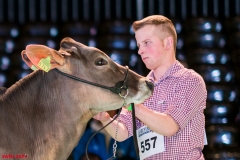 DSC08391-2-2 DSC08391-2-2