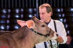 DSC08394-2-2 DSC08394-2-2