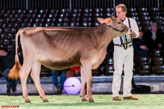 DSC08394-2 DSC08394-2