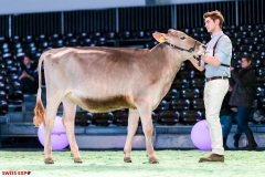 DSC08396-2 DSC08396-2