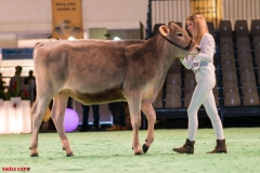 DSC08399-2 DSC08399-2