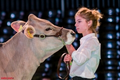 DSC08401-2-2 DSC08401-2-2