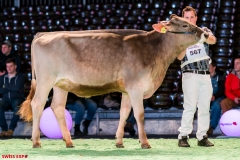 DSC08412-2 DSC08412-2