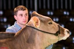 DSC08415-2-2 DSC08415-2-2